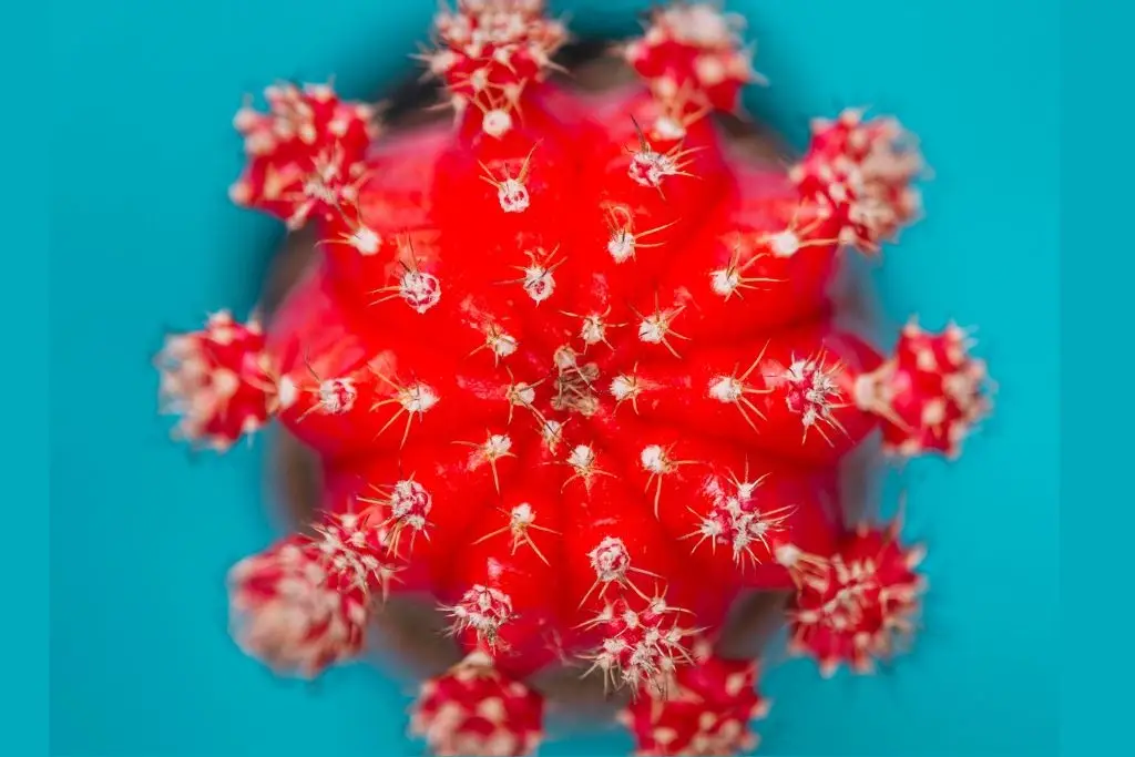 Imagen relacionada a la nota