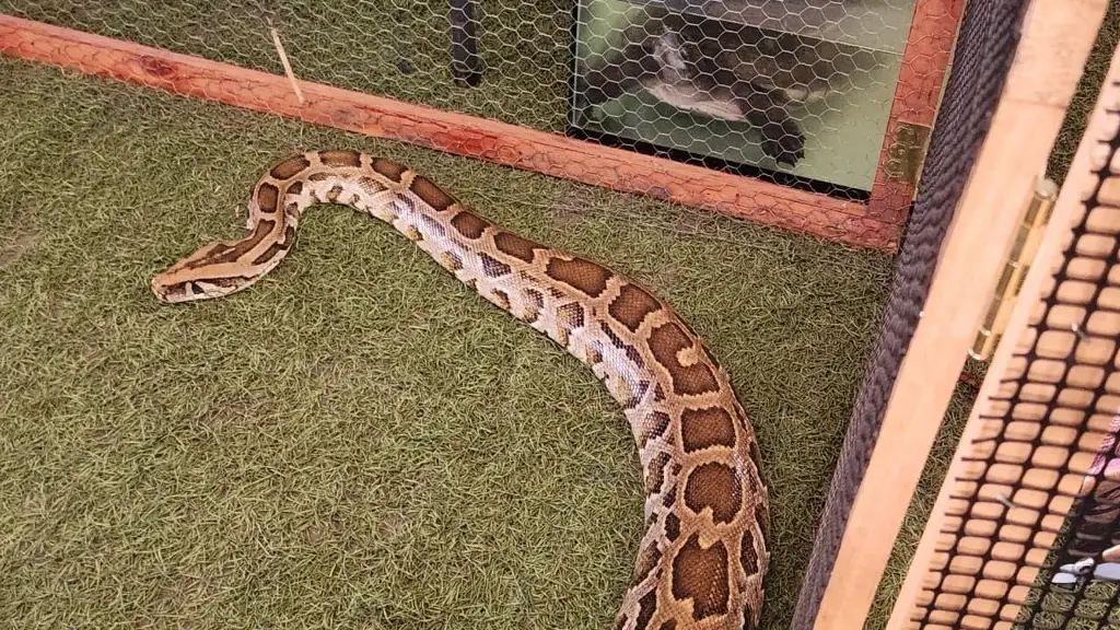 Imagen relacionada a la nota