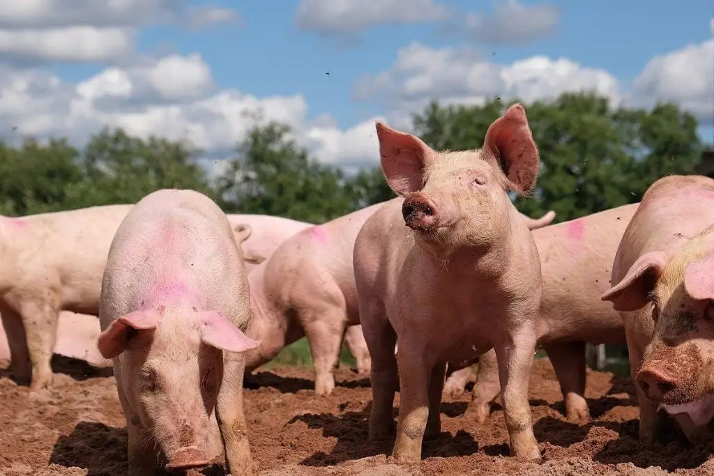 Imagen relacionada a la nota