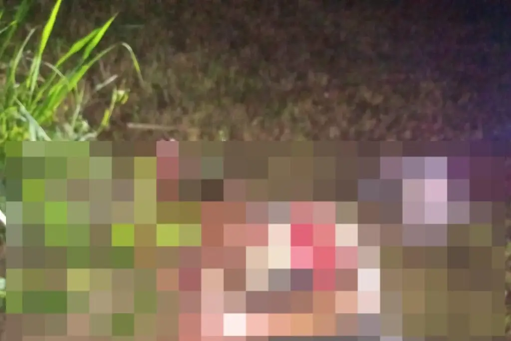 Imagen relacionada a la nota