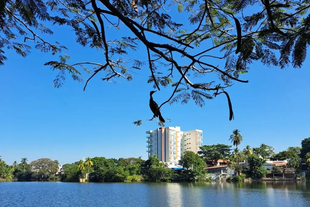 Imagen relacionada a la nota