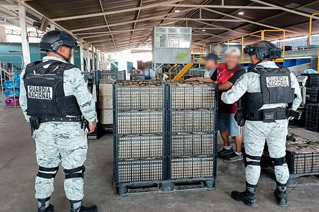 Imagen relacionada a la nota