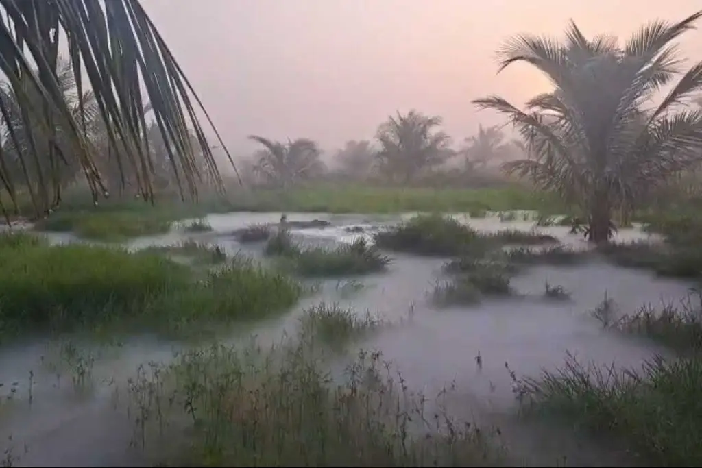 Imagen relacionada a la nota