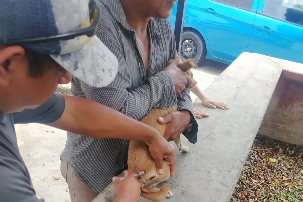 Imagen relacionada a la nota