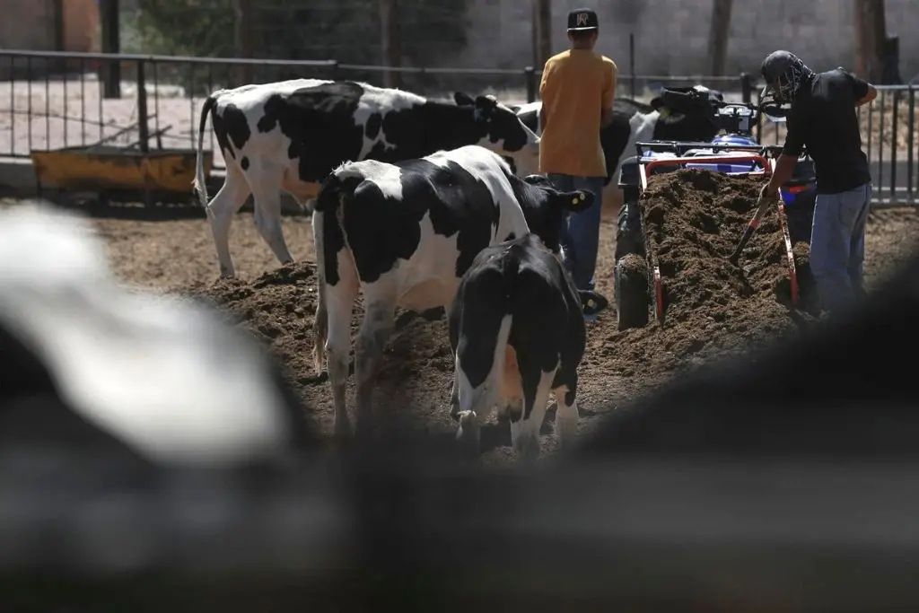 Imagen relacionada a la nota