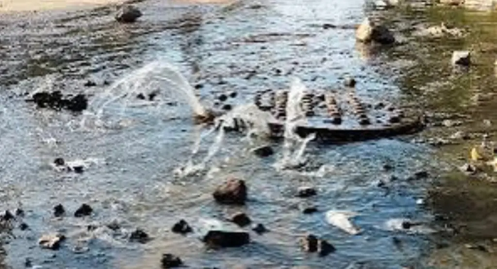 Imagen relacionada a la nota