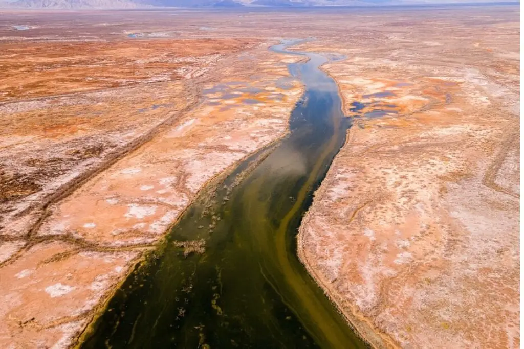 Imagen relacionada a la nota