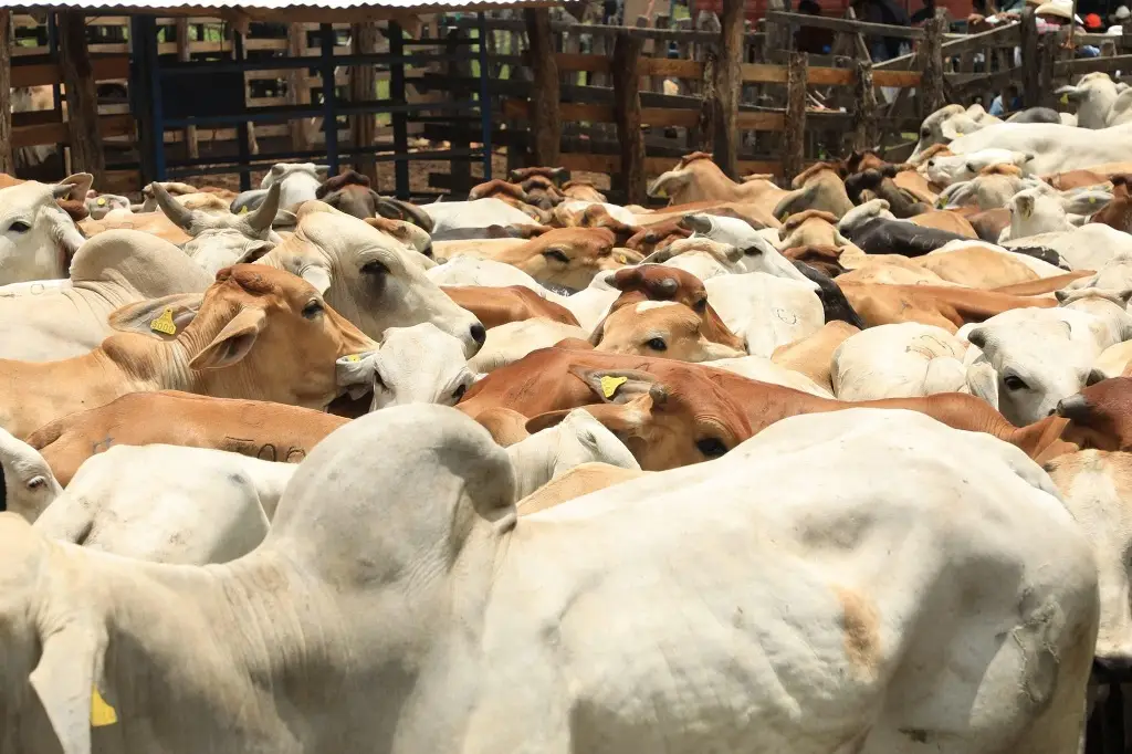 Imagen relacionada a la nota