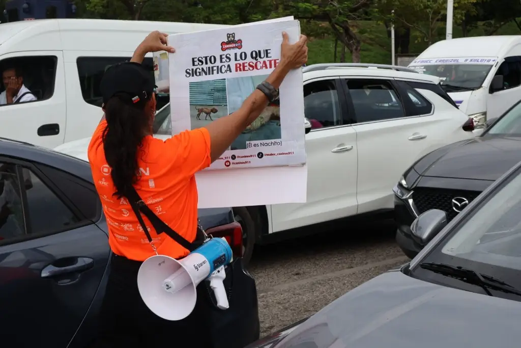 Imagen relacionada a la nota