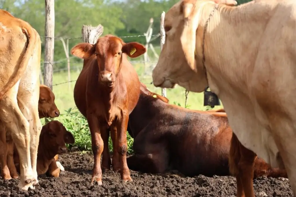 Imagen relacionada a la nota