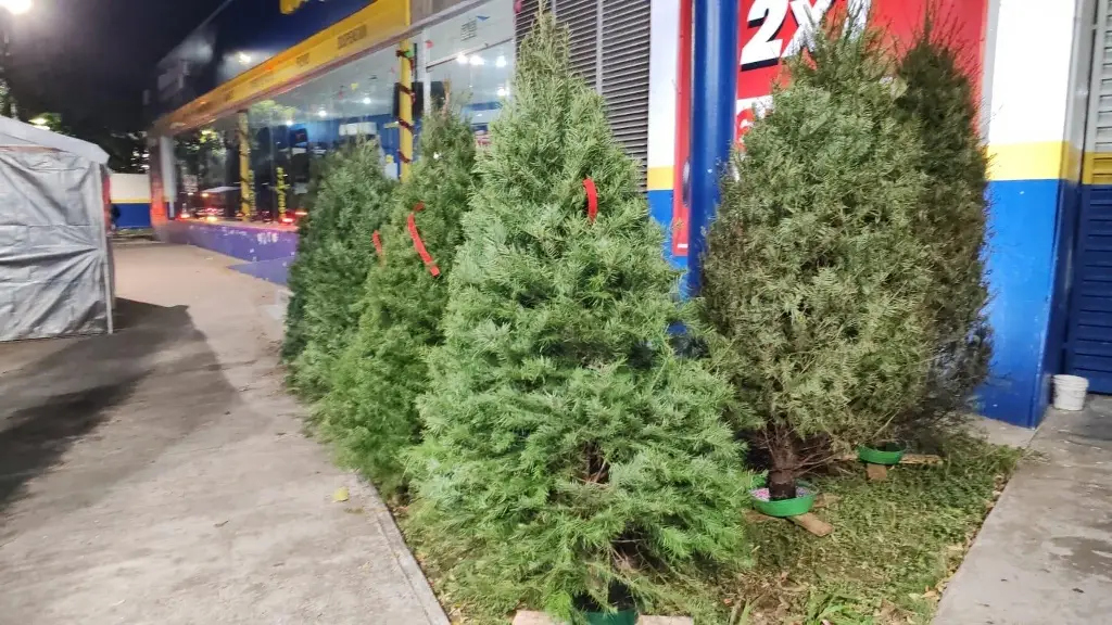 Imagen relacionada a la nota