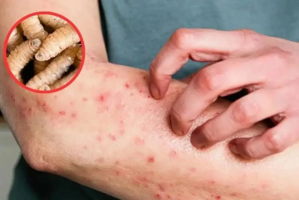 Imagen relacionada a la nota