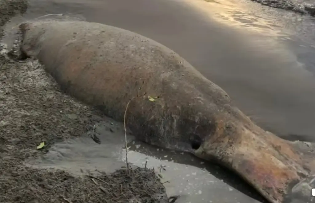 Imagen relacionada a la nota