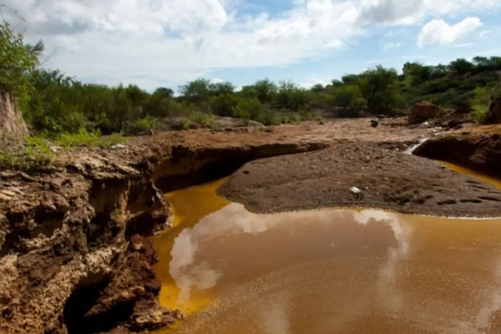 Imagen relacionada a la nota