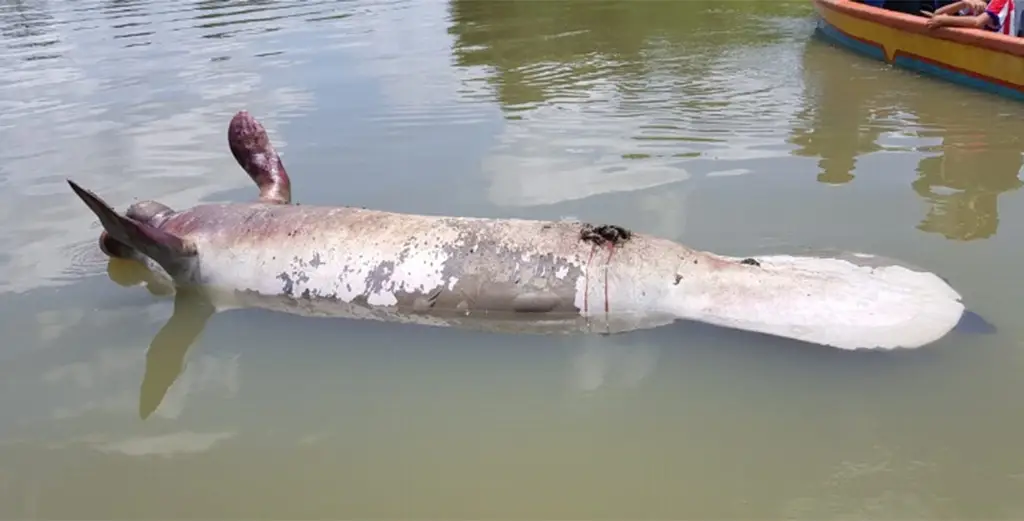 Imagen relacionada a la nota