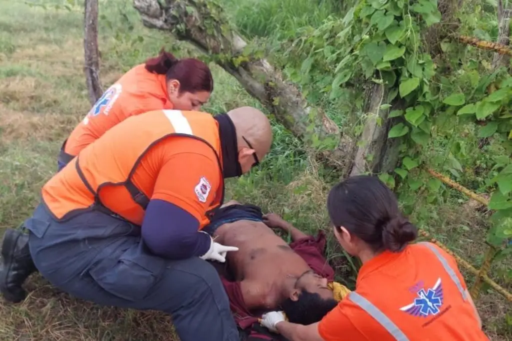 Imagen relacionada a la nota