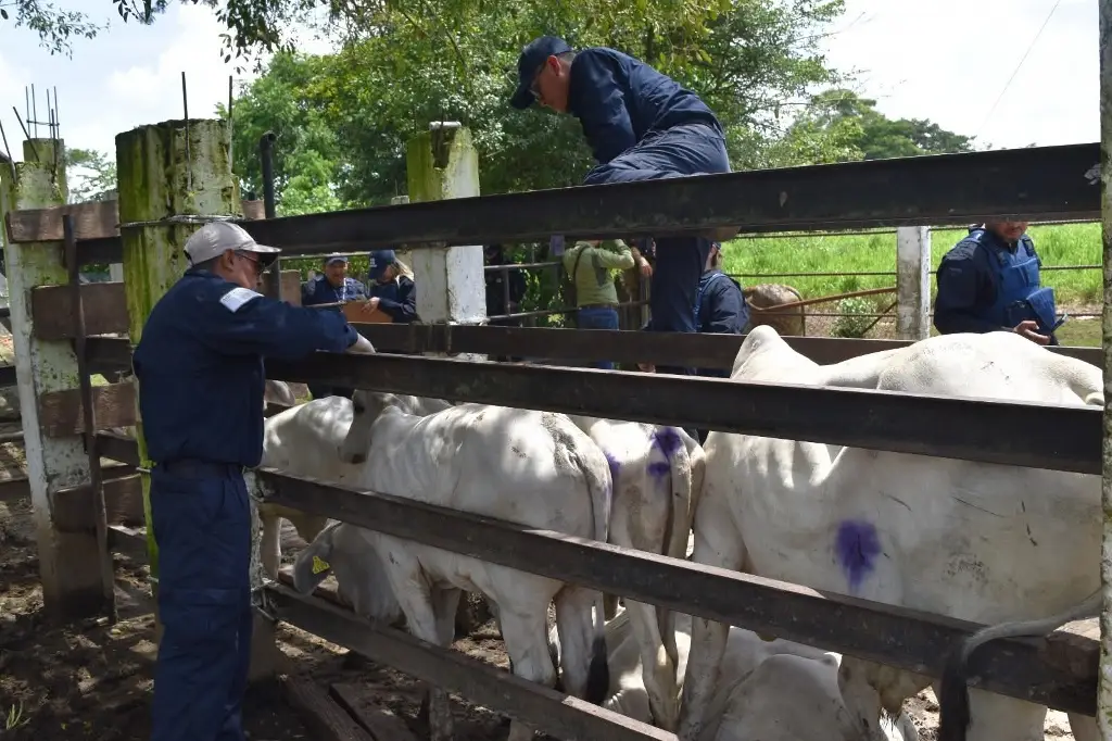 Imagen relacionada a la nota