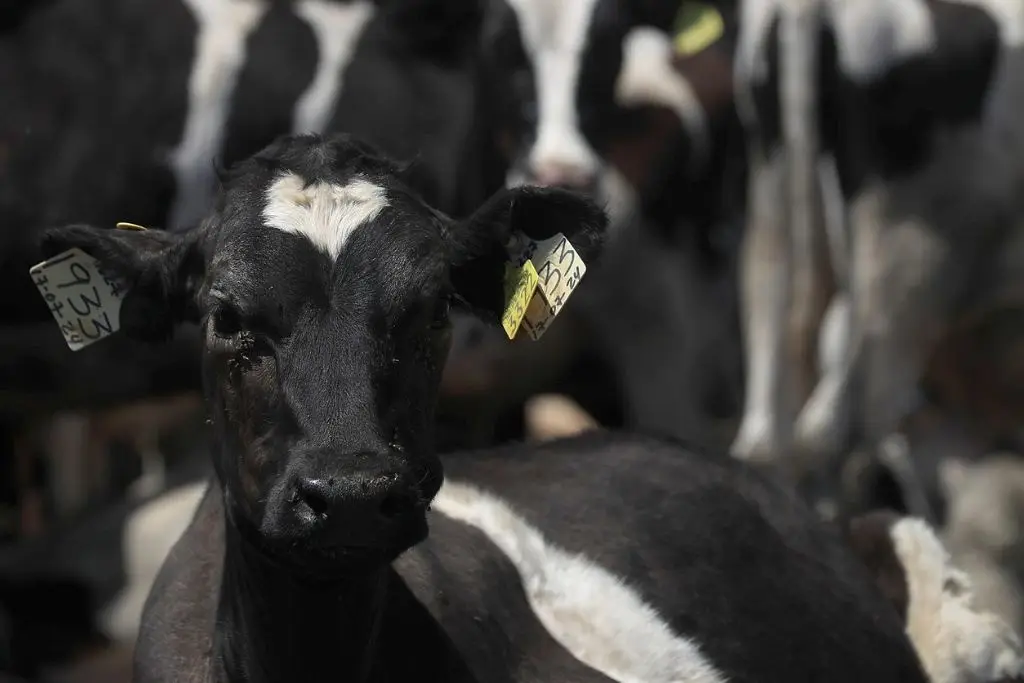 Imagen relacionada a la nota