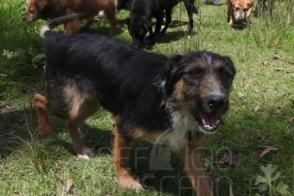 Imagen relacionada a la nota