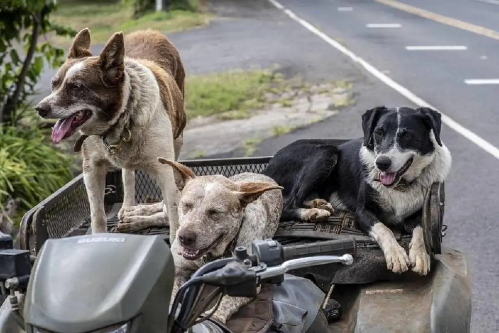 Imagen relacionada a la nota