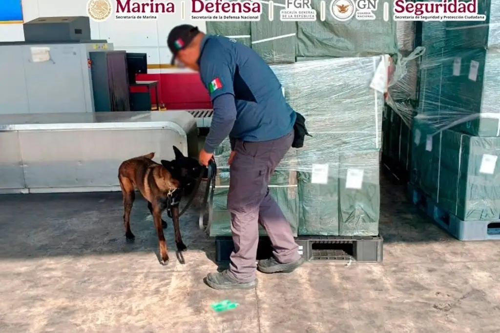 Imagen relacionada a la nota