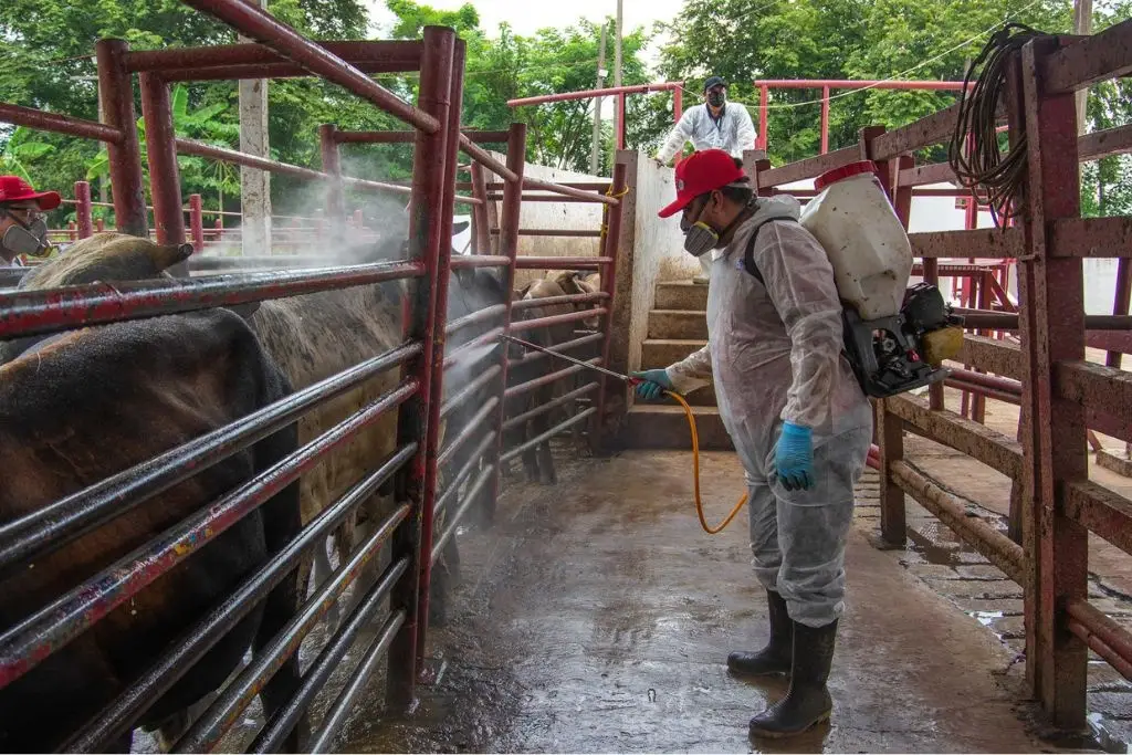 Imagen relacionada a la nota