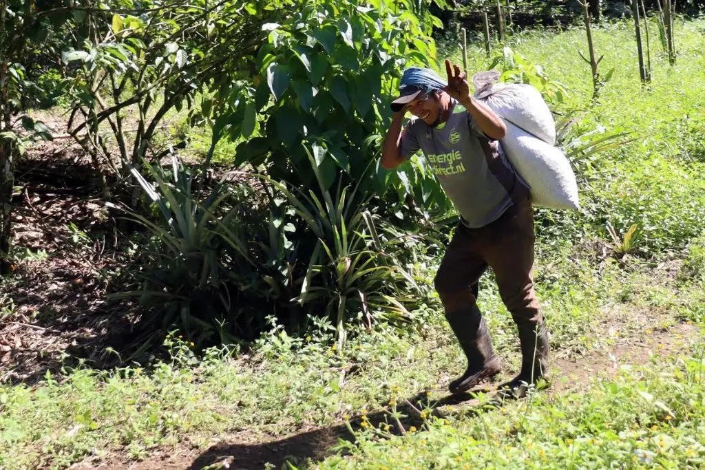 Imagen relacionada a la nota