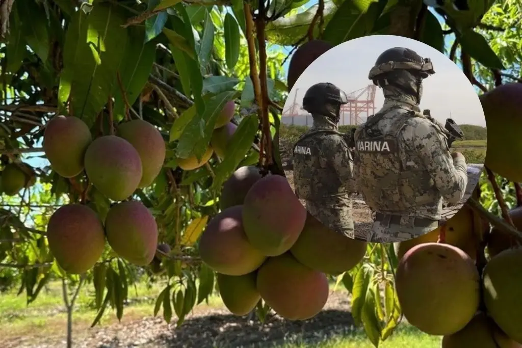 Imagen relacionada a la nota