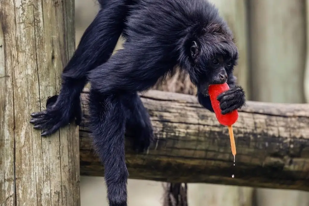 Imagen relacionada a la nota