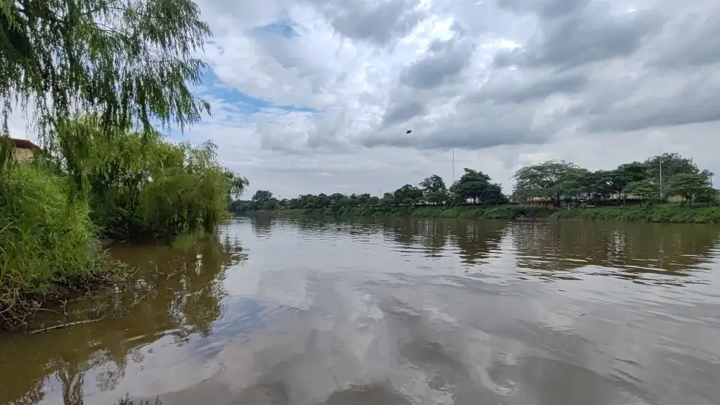 Imagen relacionada a la nota