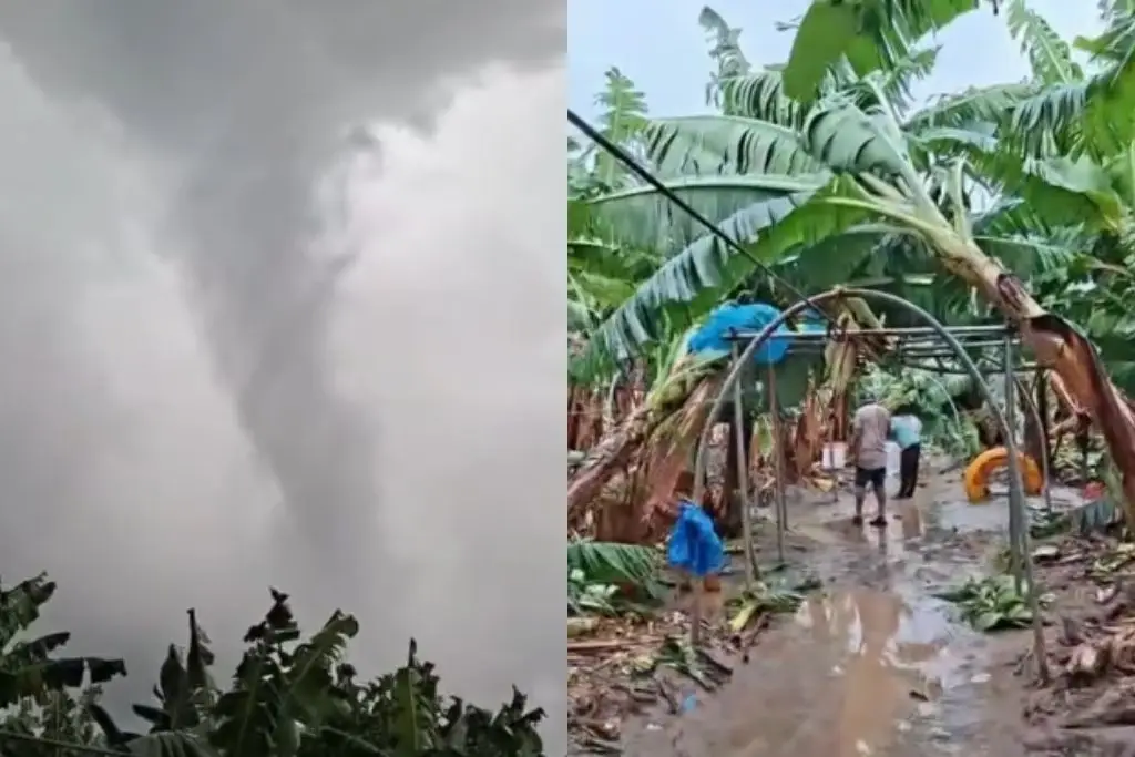 Imagen relacionada a la nota