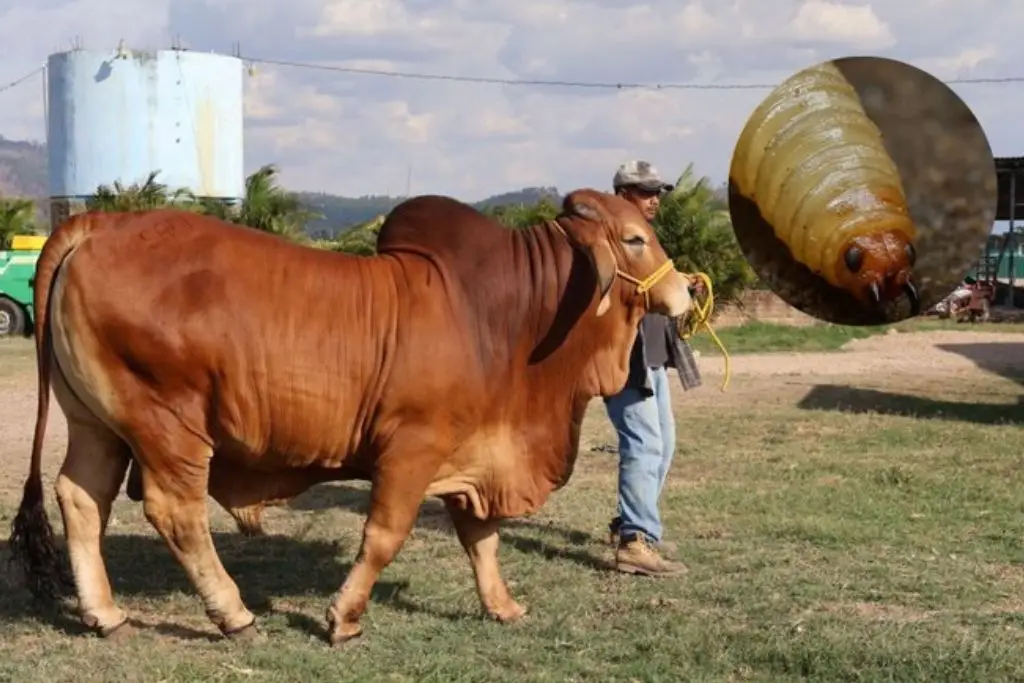 Imagen relacionada a la nota