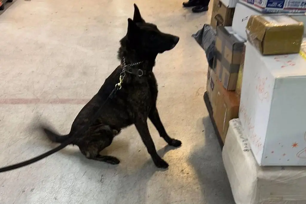 Imagen relacionada a la nota