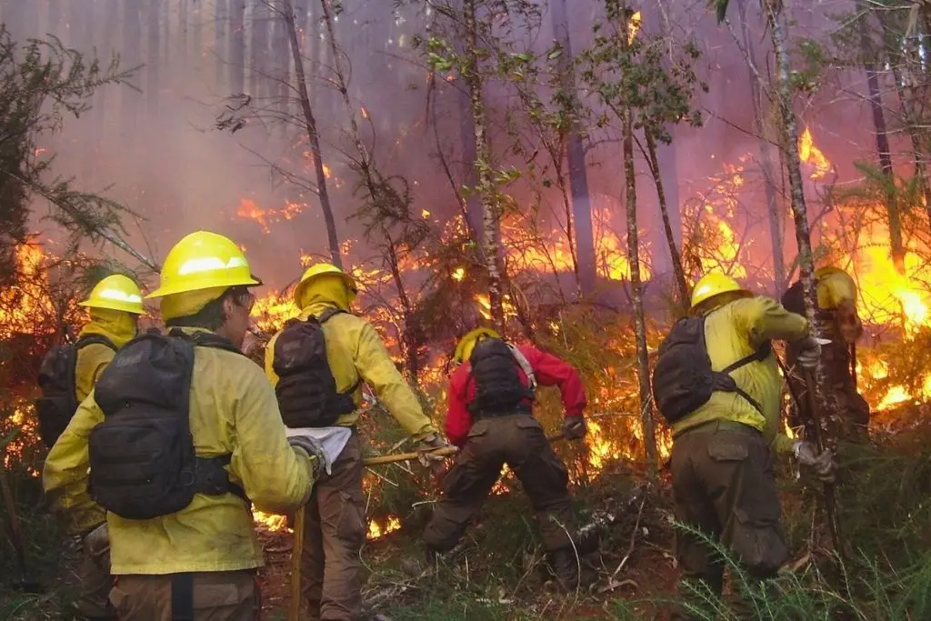 Imagen relacionada a la nota