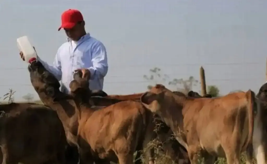 Imagen relacionada a la nota