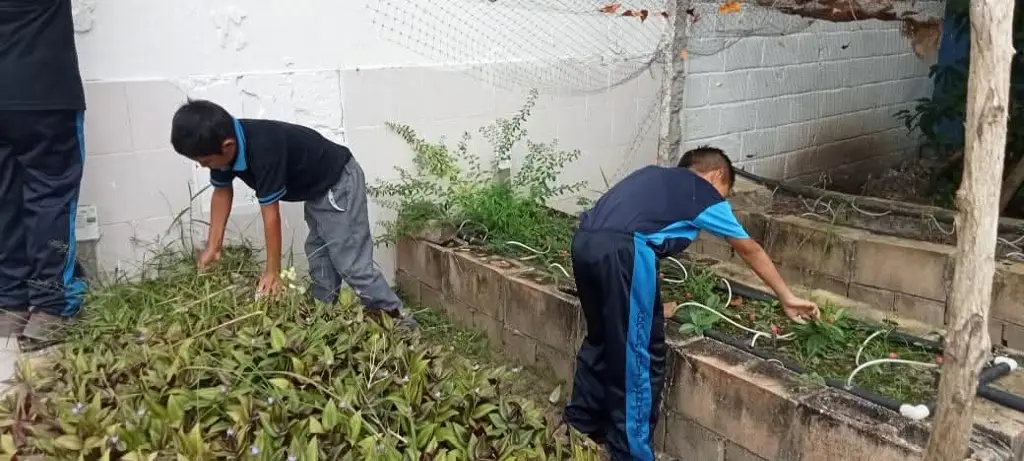 Imagen relacionada a la nota