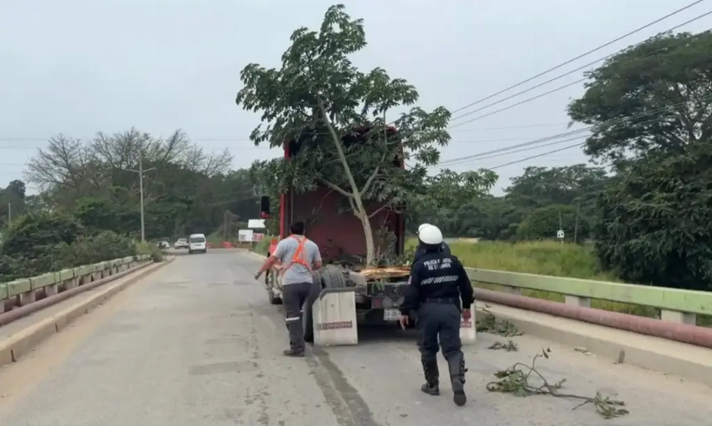 Imagen relacionada a la nota
