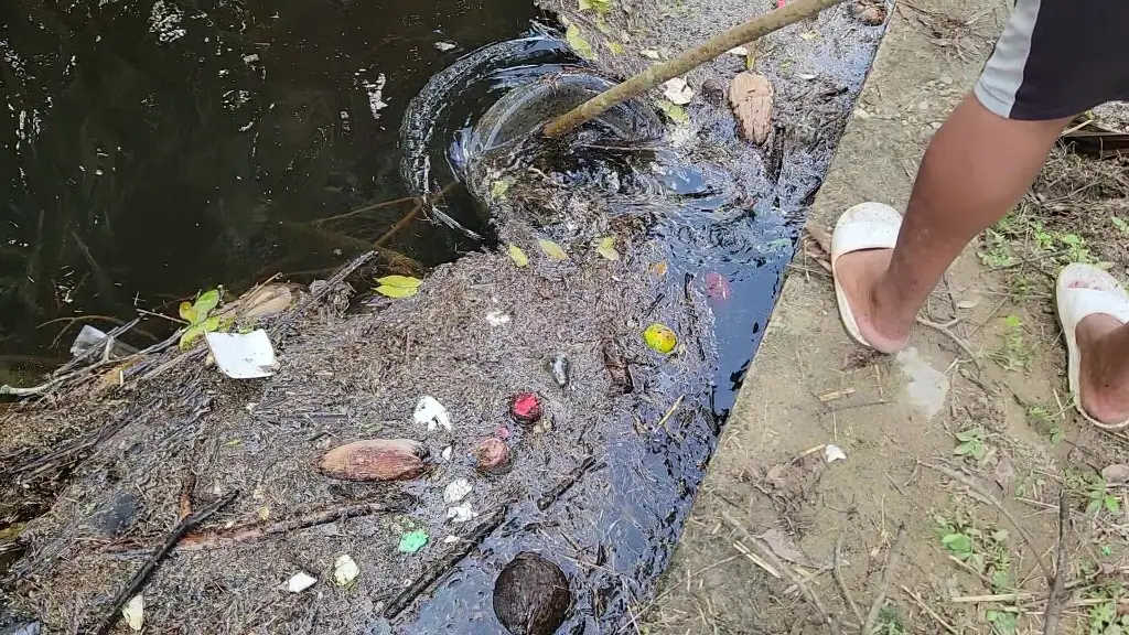 Imagen relacionada a la nota