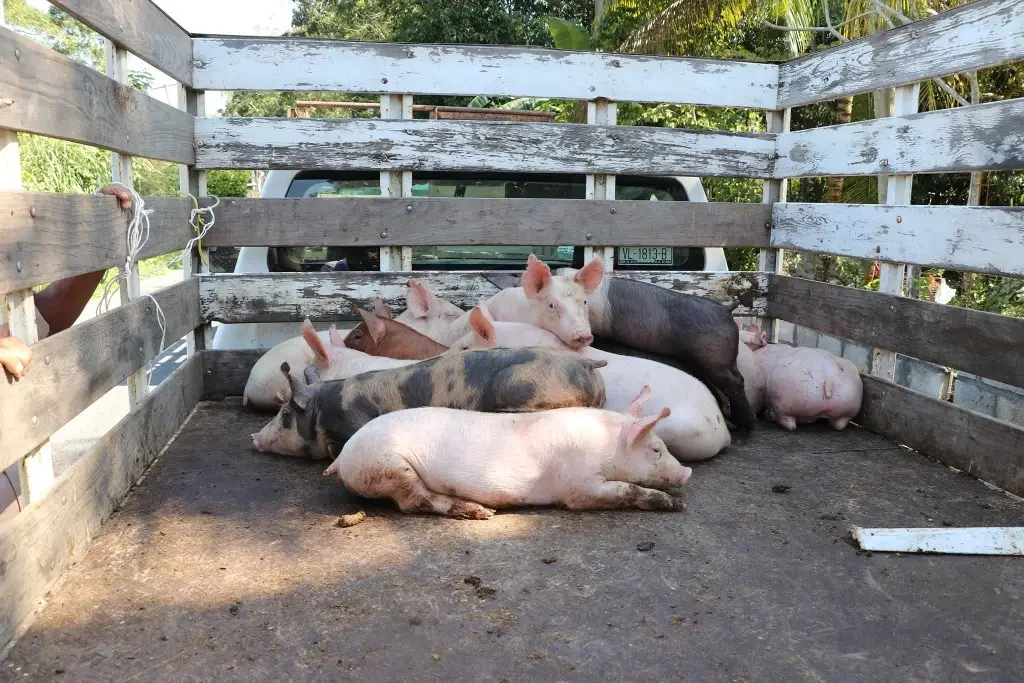 Imagen relacionada a la nota