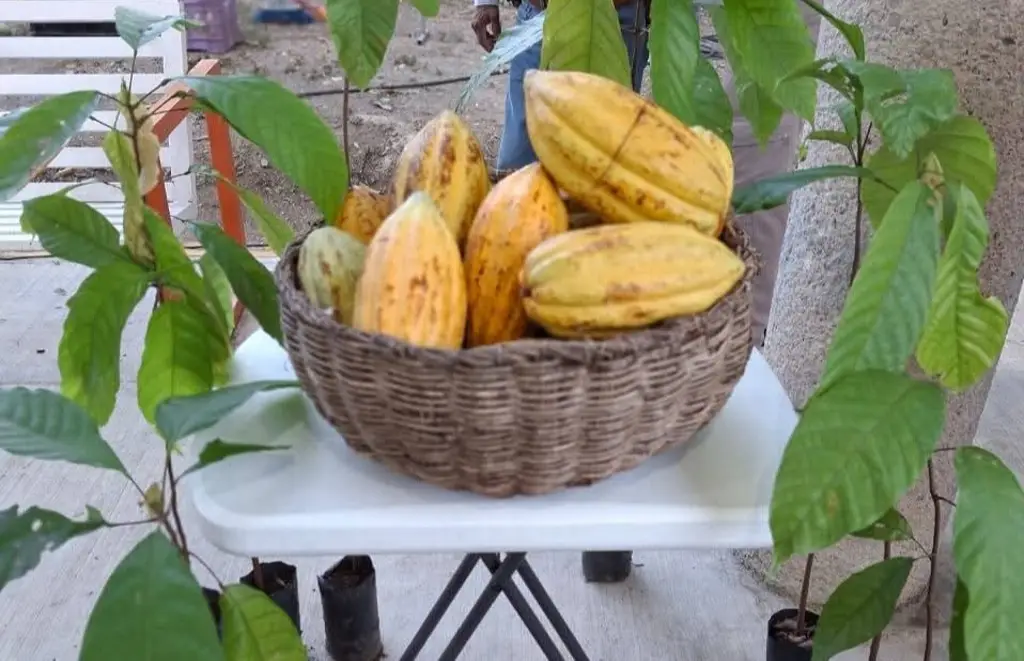 Imagen relacionada a la nota