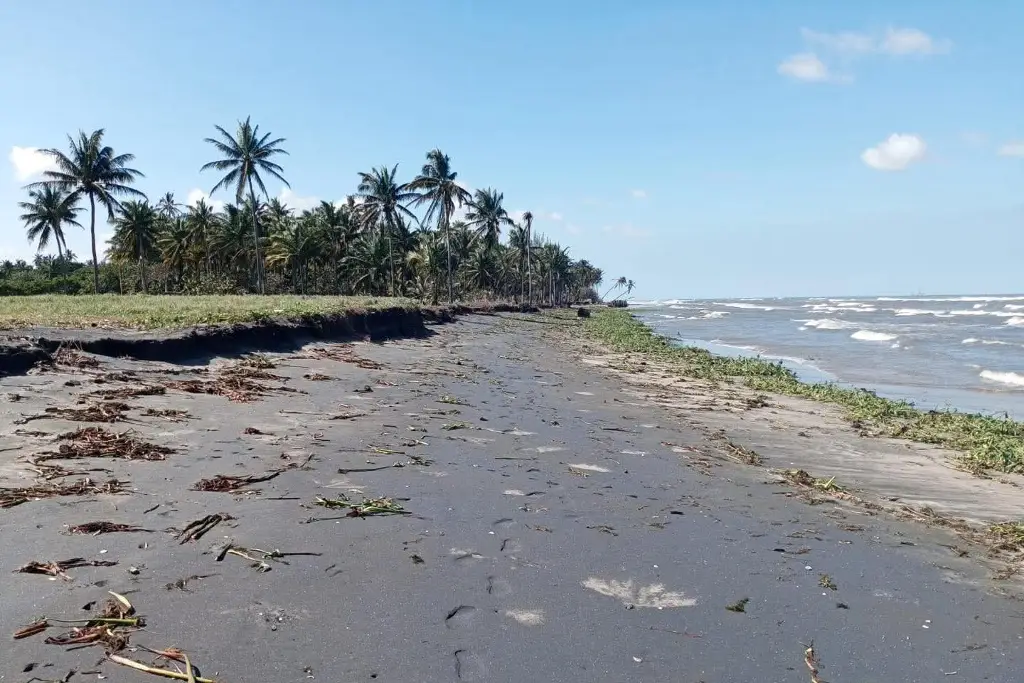 Imagen relacionada a la nota