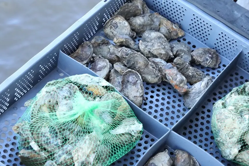 Imagen relacionada a la nota