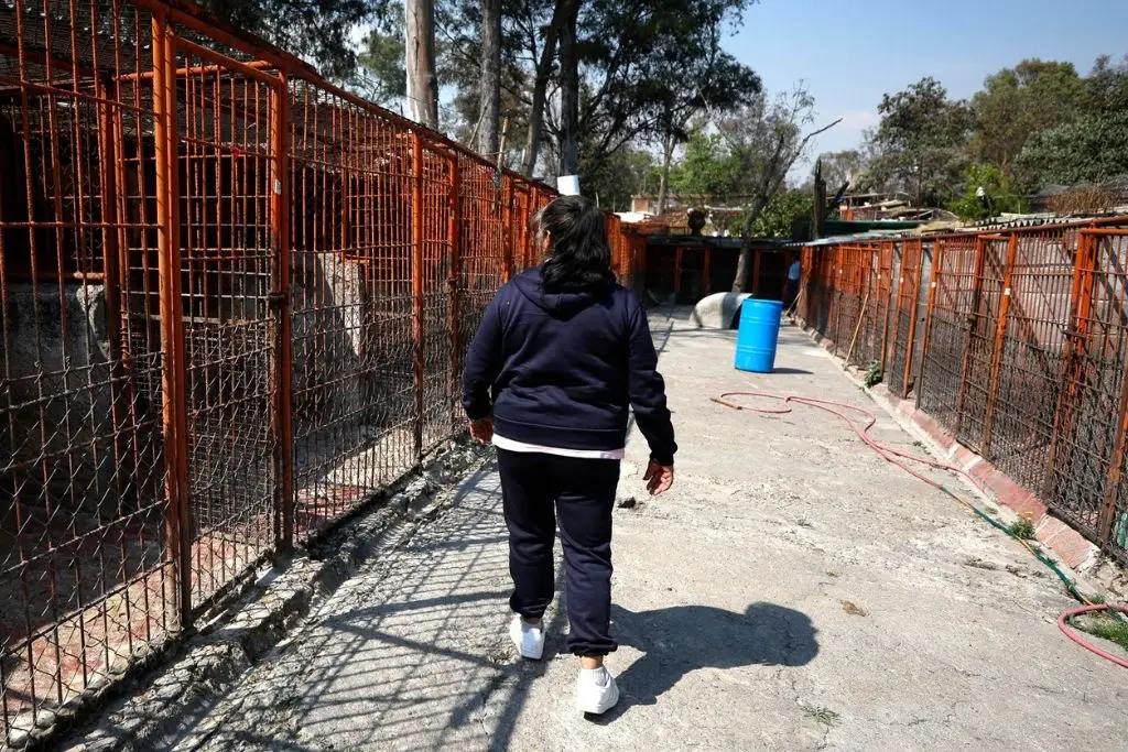 Imagen relacionada a la nota