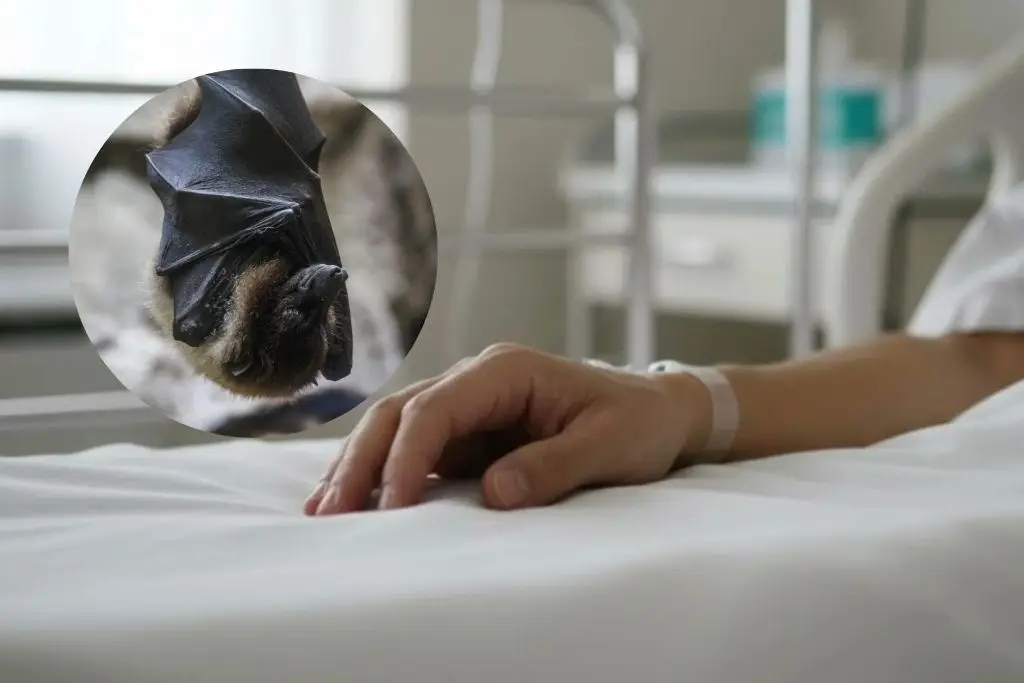 Imagen relacionada a la nota