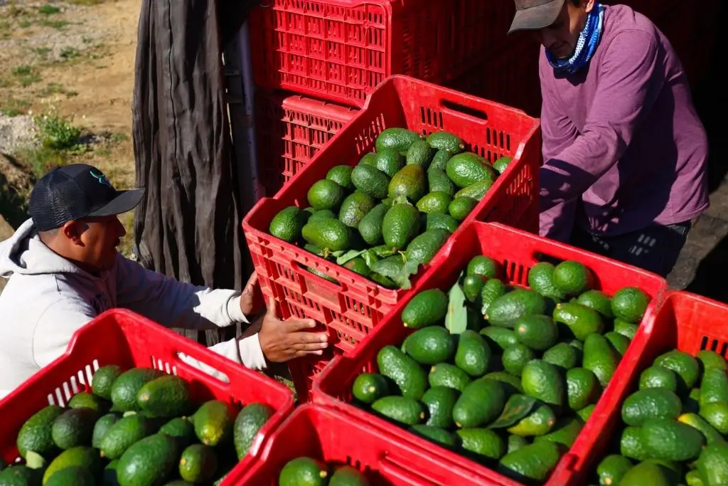 Imagen relacionada a la nota