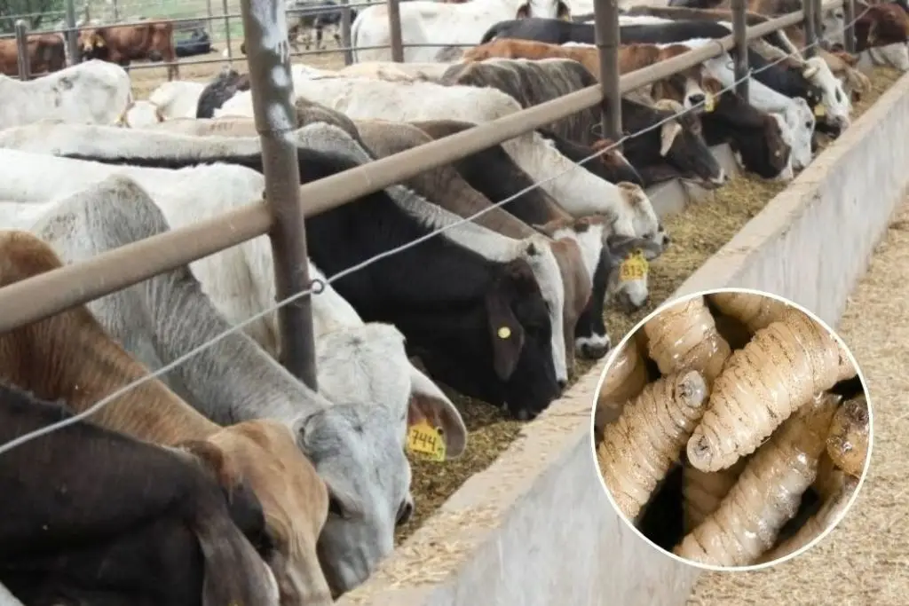 Imagen relacionada a la nota