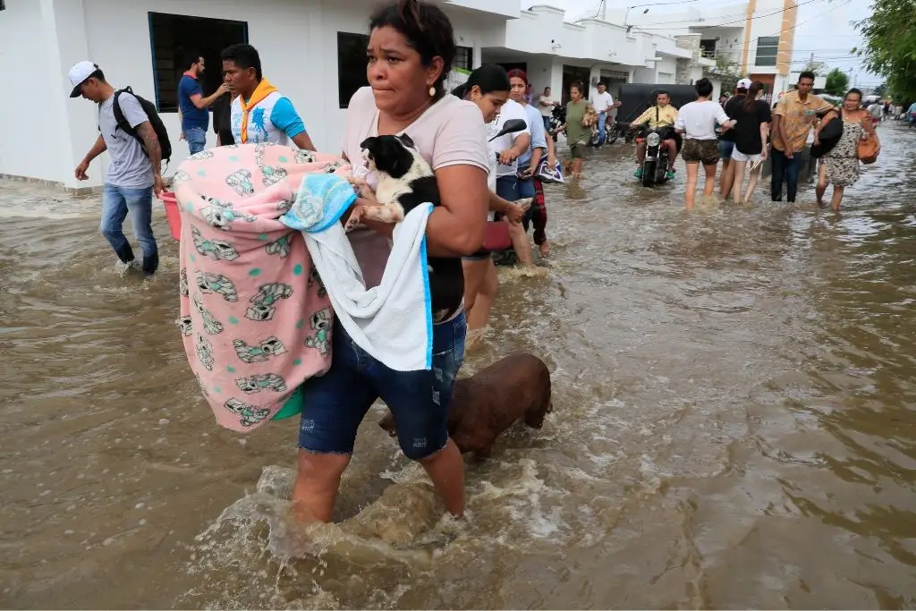 Imagen relacionada a la nota