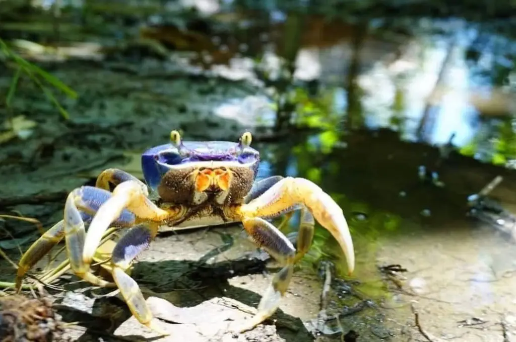 Imagen relacionada a la nota