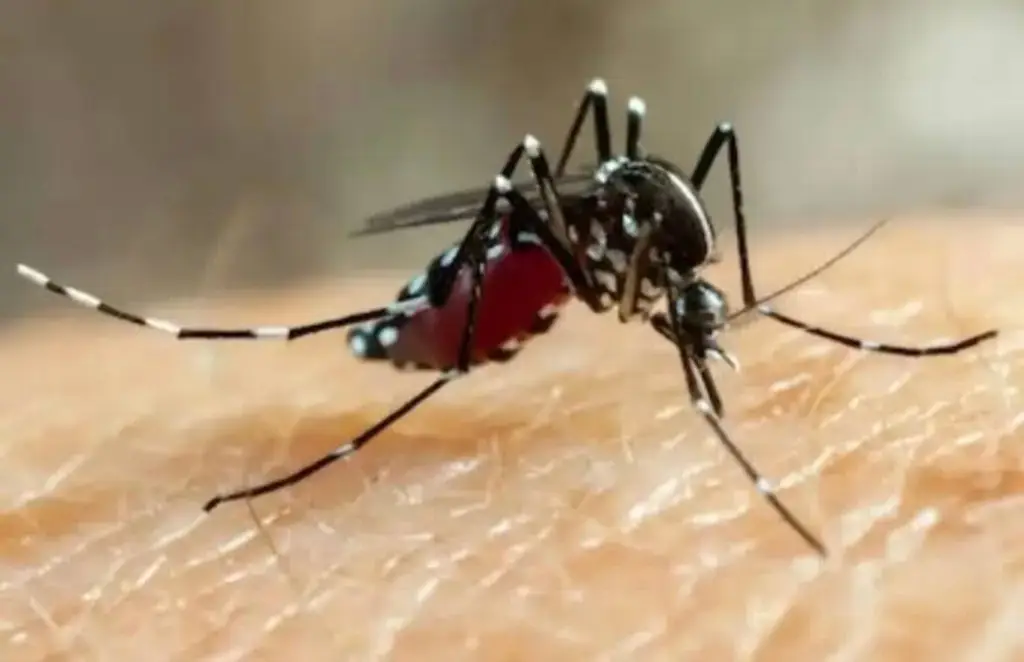 Imagen relacionada a la nota