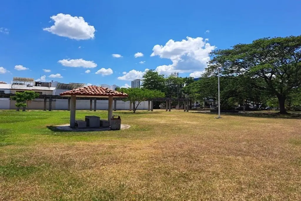 Imagen relacionada a la nota